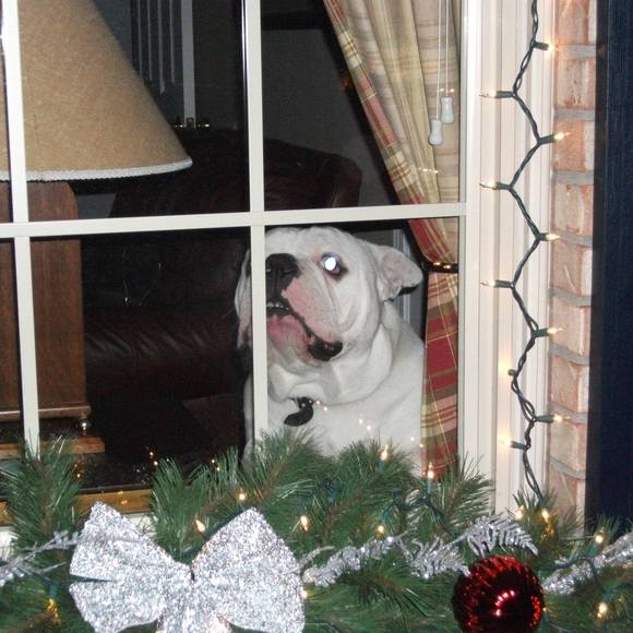 Meet your Posher, Eric - Picture 1 of 1